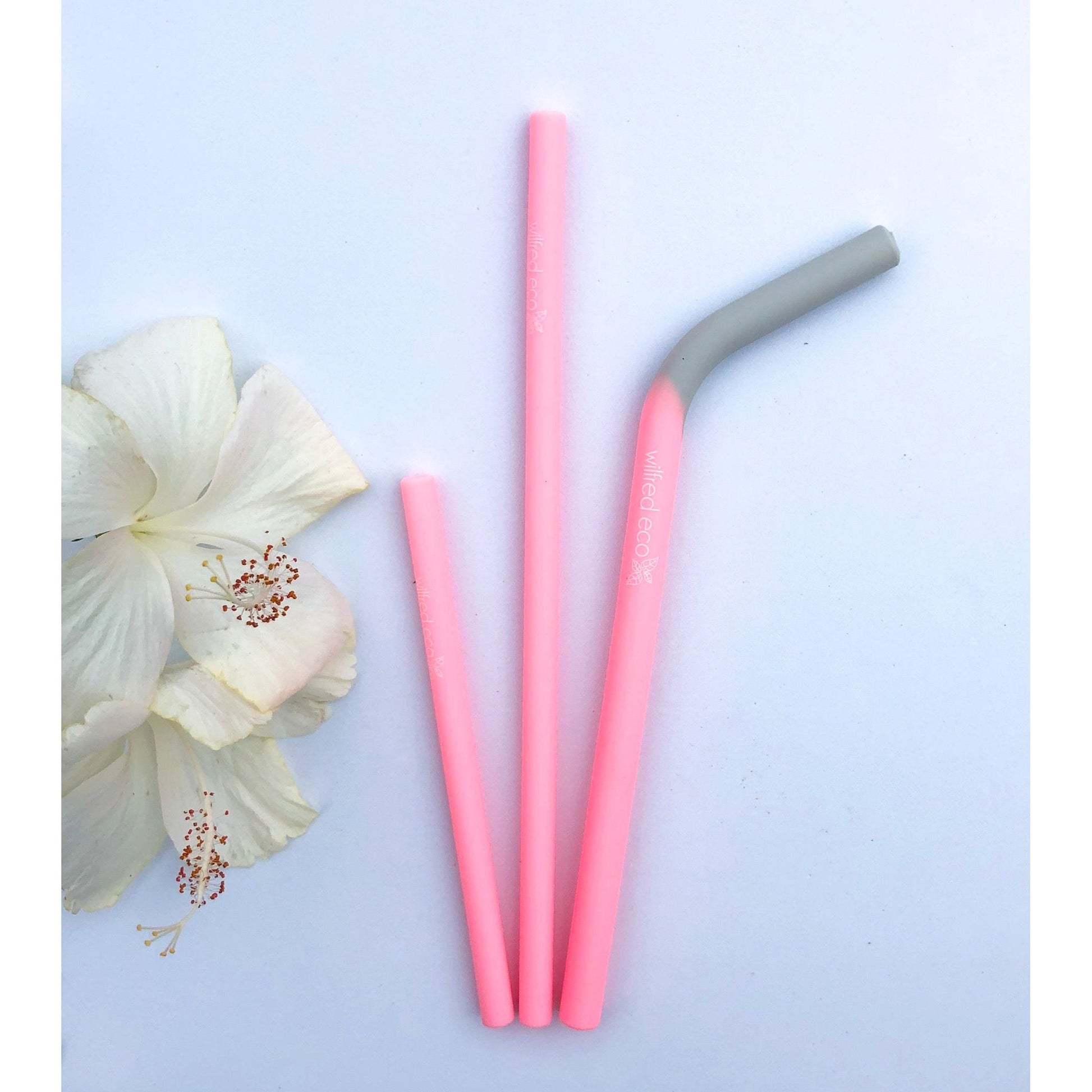 Silicone Smoothie Straws - 4 Pack Reusable - RAINBOW PASTELS - BR4 - Wilfred Eco