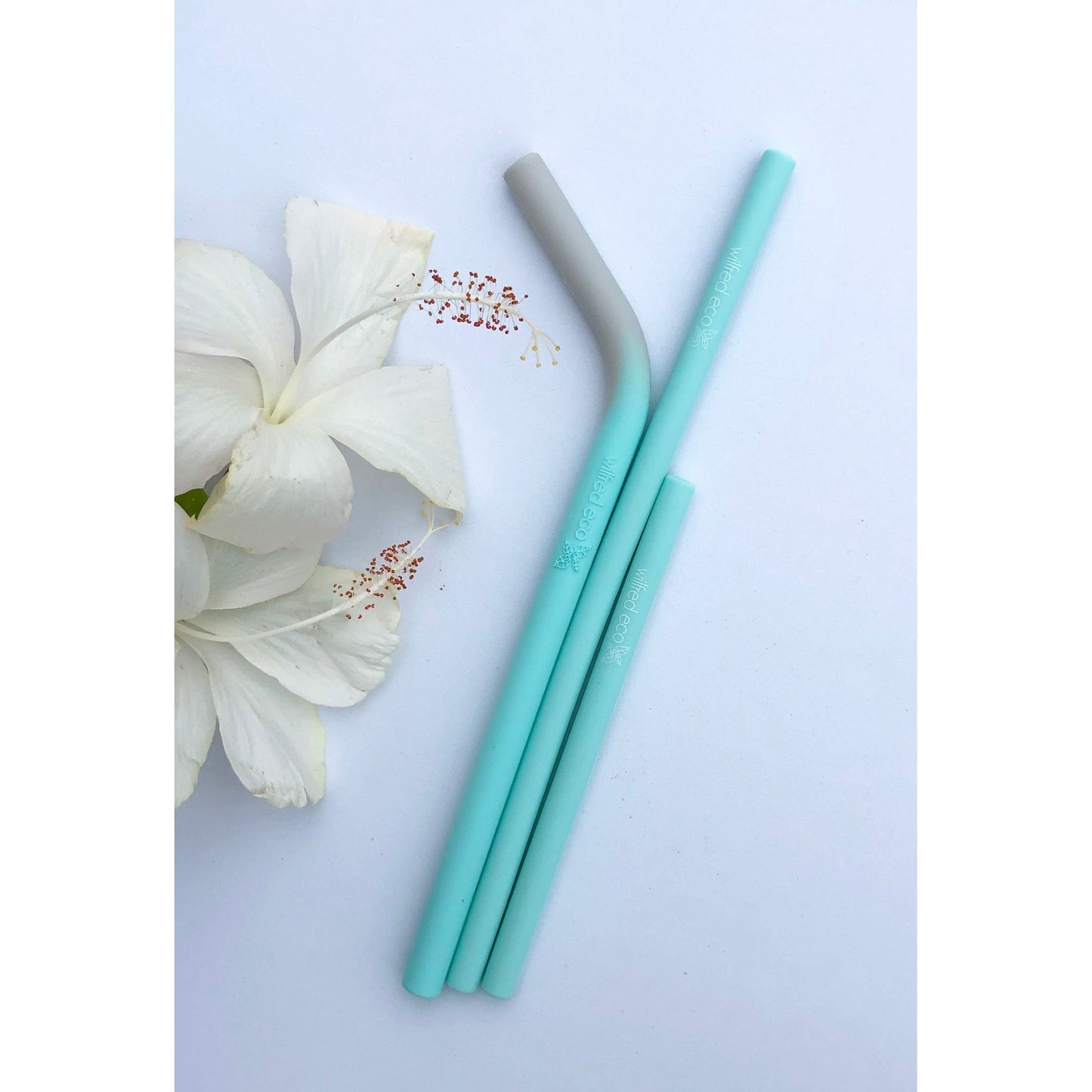 Straight Silicone Reusable Straws - 4 Pack - RAINBOW PASTELS - SR4 - Wilfred Eco